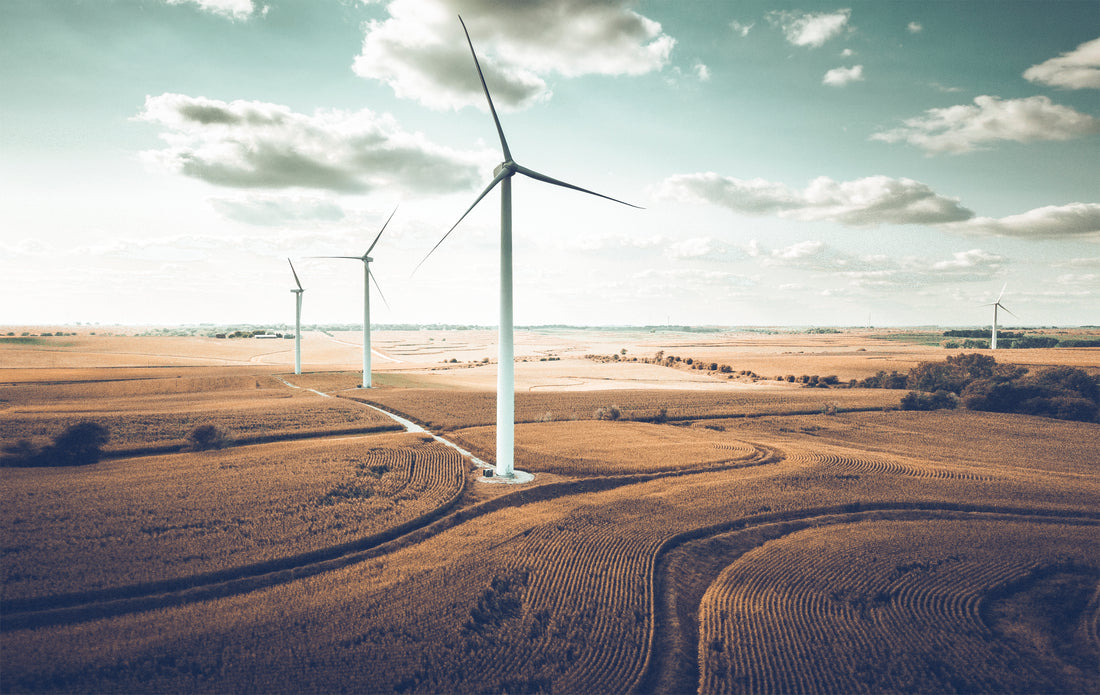 Giants of the Green: Exploring Different Wind Turbine Types